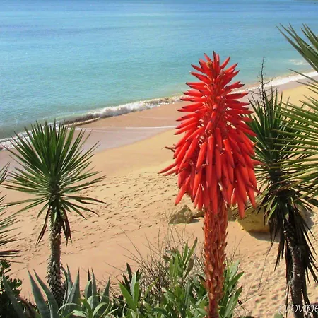 Algarve - Armacao De Pera, An Ihg
